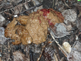 Кровавая Мэри