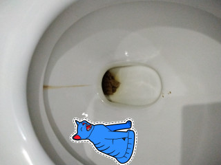 РАЙСКАЯ КАКАХА