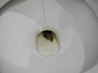 Л0Л