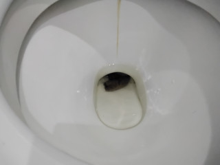 С ДНЁМ УЧИТЕЛЯ
