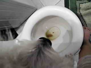 Носик