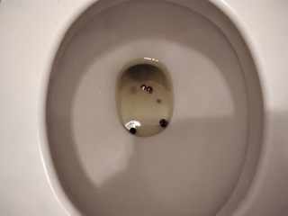 Горошек