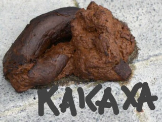 Гей