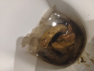 Змейка