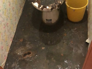 мусорная кака