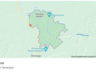 Какахи Новая Зеландия