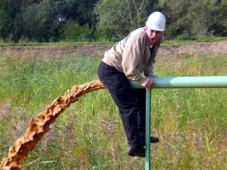 Артем ты дебил