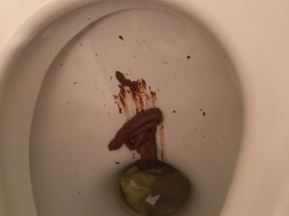 змея