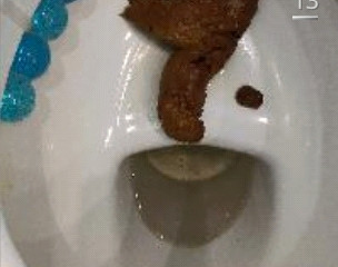 Хонда и человек