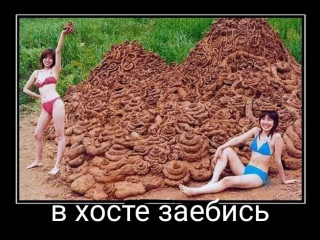 полина саси хуй