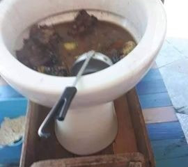Суп из говна 
