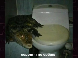 Пападос