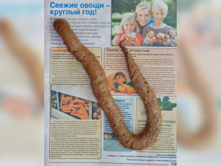 Облегчилась на газету