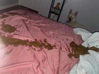 Ушатый засранец