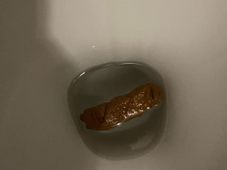 цельная какаха