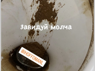 Какашка от IHOFFOMANL