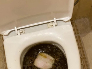 Утробыш