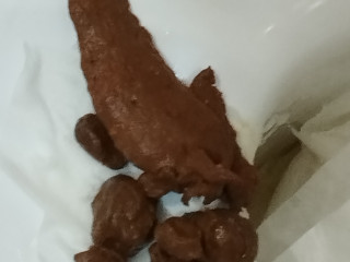 Семья какашек