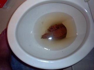 Обратный выход говна