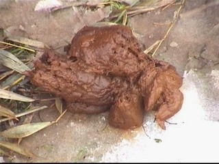 Шоколадный мусс из какашульки