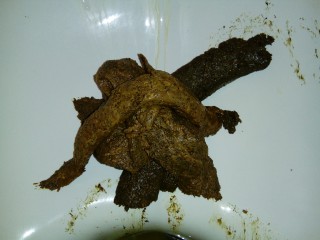Колбаса из говна с маком