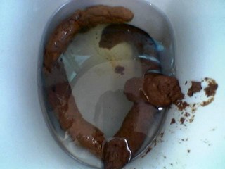 Какашка В 4 захода