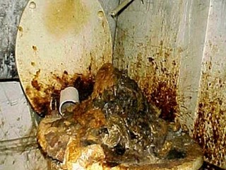 Туалет забрызганый дерьмом и поносом