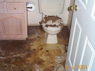 Уборная в какашках.