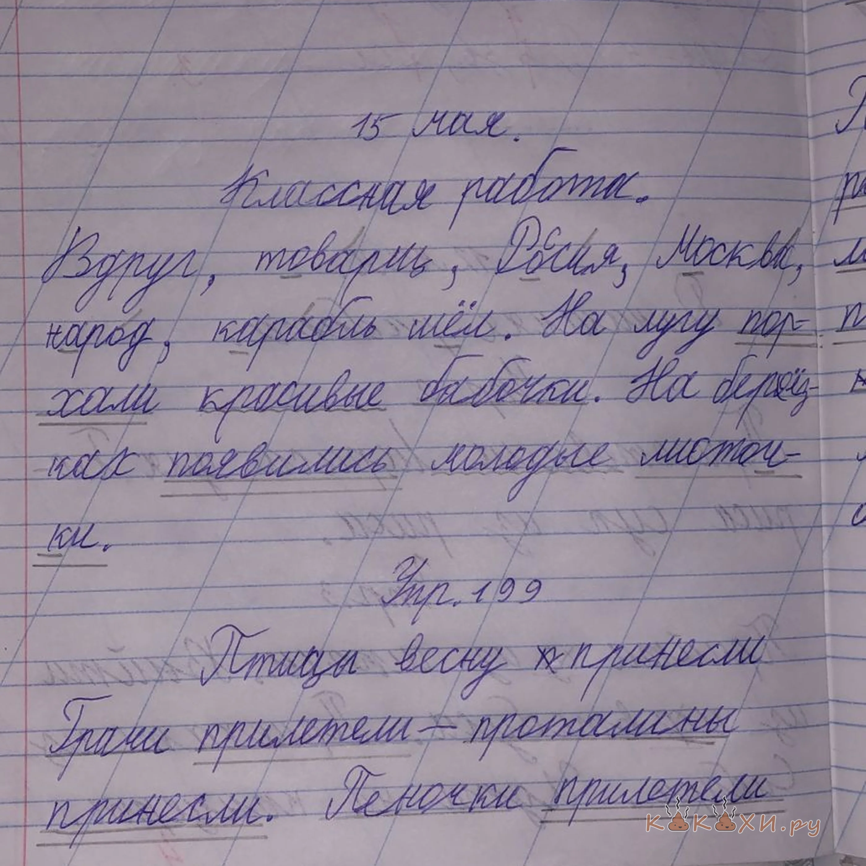 математичка гонво