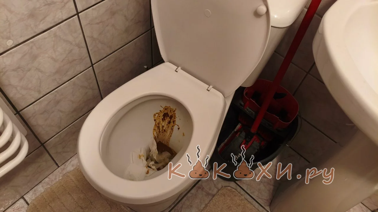 шлефовка