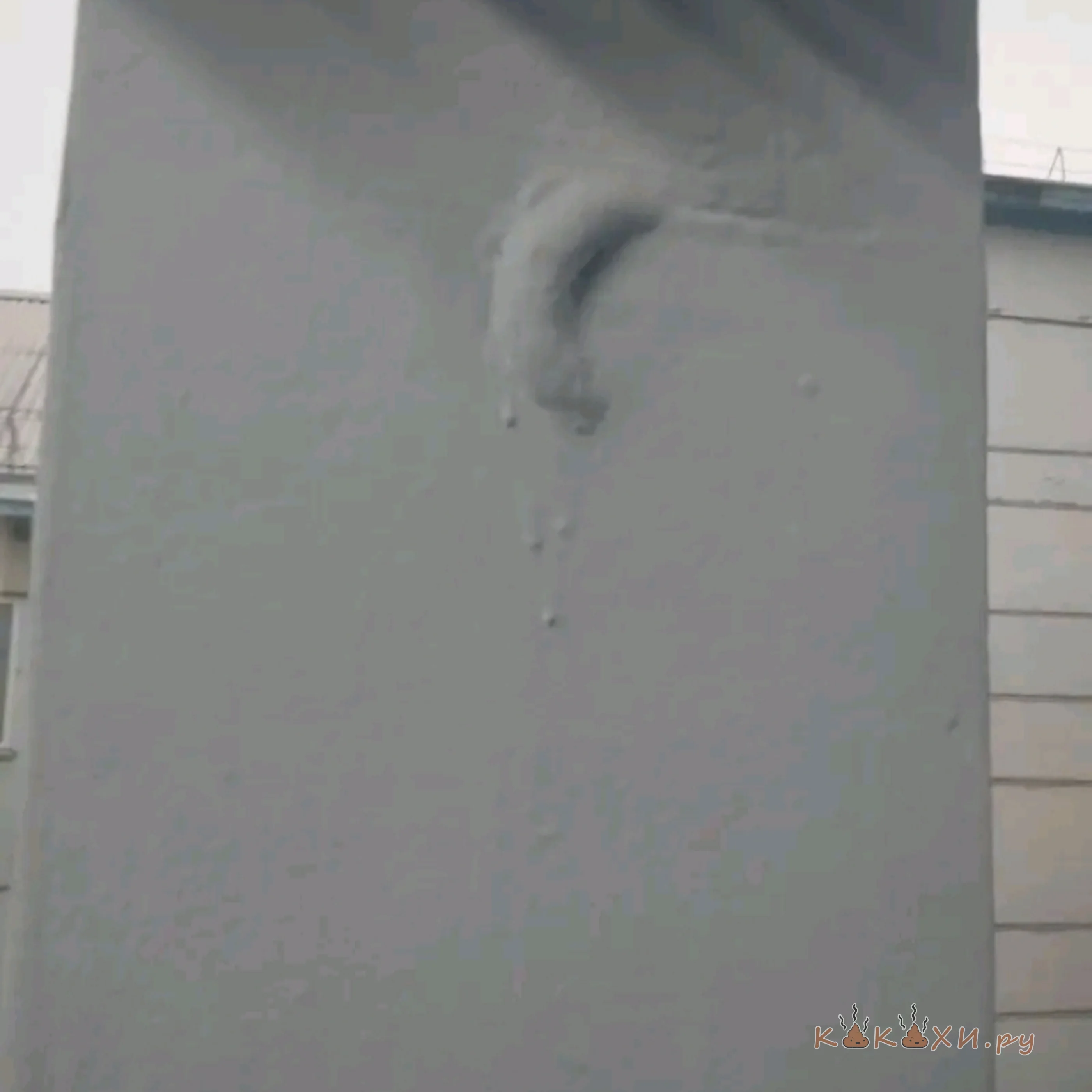 Срочно!!! Какашка замурована в стенке
