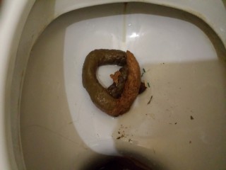 Бублик